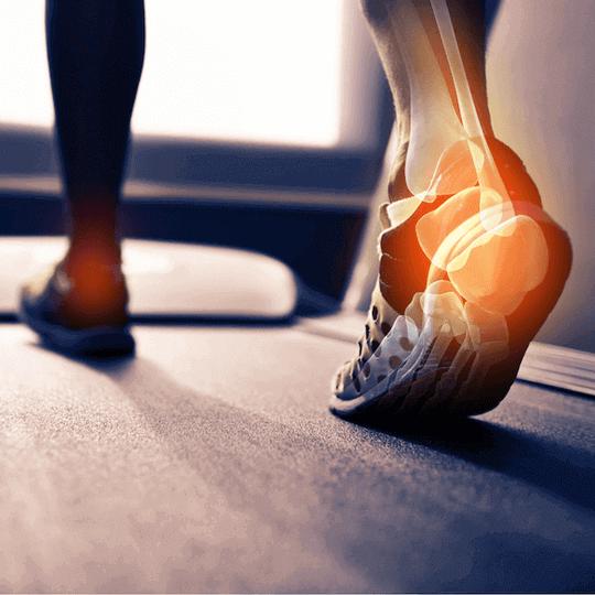 Fußknochen: Wie ist unsere Fußwurzel aufgebaut?