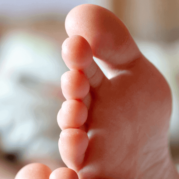 Fußknochen: Wie sind unsere Zehen aufgebaut?